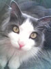 Avatar du membre