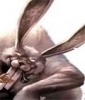 Avatar du membre