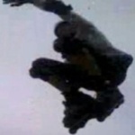 Avatar du membre