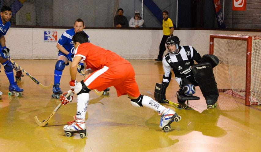17ème journée du championnat de France N1 Elite Rink Hockey : Lyon - Coutras