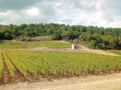 La Voie Verte Givry – Cluny – Charnay-les-Mâcon (71)