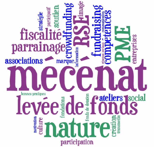 Conférence sur le mécénat sportif 2007 à Parçay-Meslay (37)