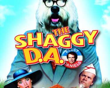 The Shaggy D.A. / un candidat au poil