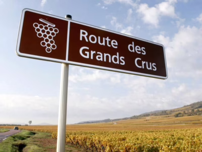 Le marathon roller des Grands Crus 2021, c&rsquo;est dans un mois !