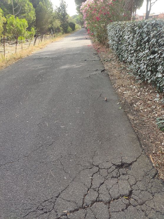Les racines et les fissures sur la piste cyclable de Vias-Plage