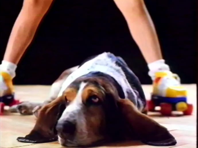 Le basset de Fisher Price en 1987