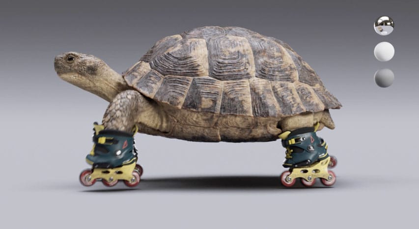 Vue 3D de la tortue en roller