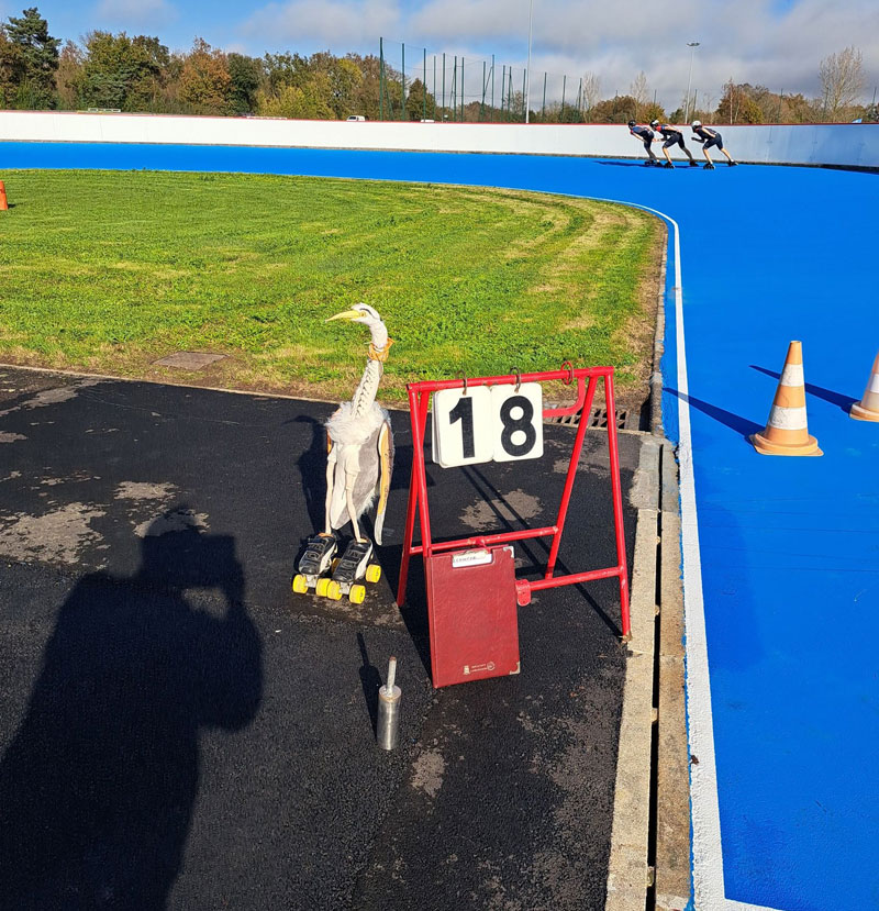 Le samedi 8 novembre 2025 à 11h30 a eu lieu l'inauguration de la La mascotte du club de Saint-Philbert-de-Grand-Lieu