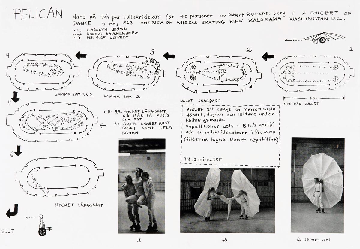 Structuration du spectacle Pélican