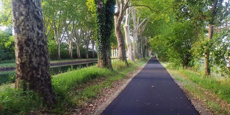 Sous les frondaisons des platanes, au bord de l'eau, avec un bel enrobé !