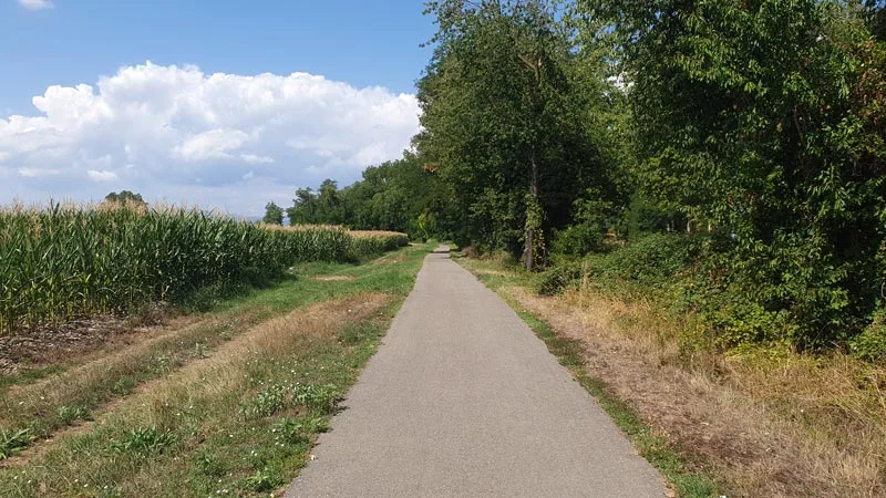L'enrobé serpente entre le bord du canal et les champs à proximité