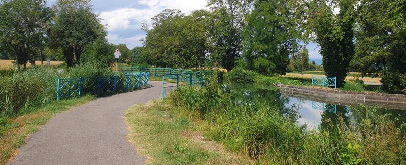 Quelques coudes viennent ponctuer le parcours vers Colmar