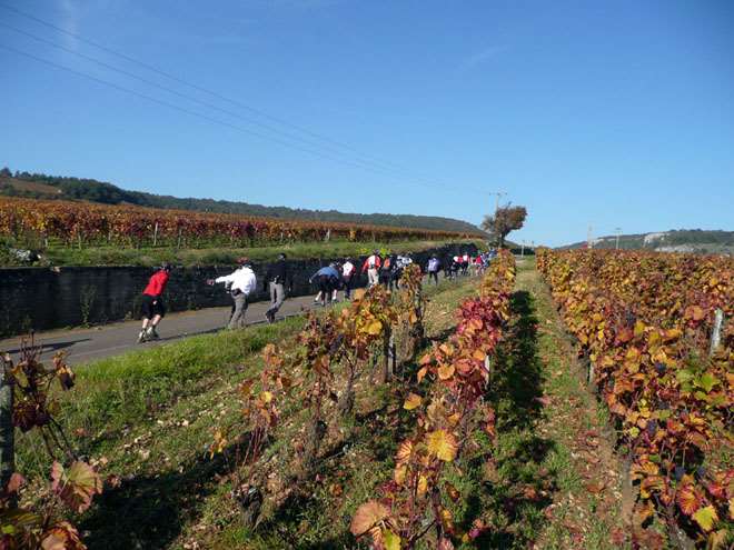 Randonnée roller des Grands Crus