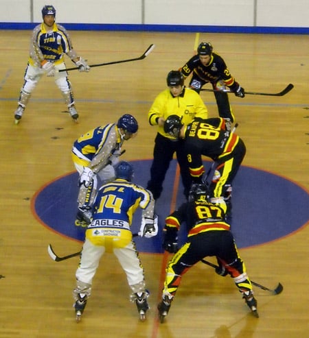 Coupe de France de roller hockey 2015 : Besançon Montchavin