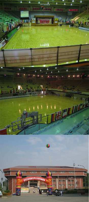 Des terrains de 40 m x 30 m aux World Games