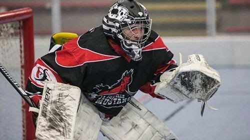 Transferts : Alan Ludig et Zack Petterson rejoignent les Hawks d’Angers