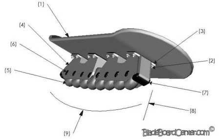 Le Bladeboard : hybride skate et roller