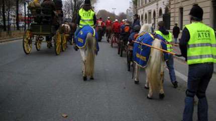 Roller Joering avec ATEM Rando Equestre