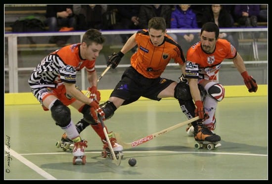 13ème journée du championnat N1 Elite de rink-hockey 2014-2015