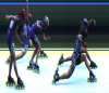 Bilan du championnat de France Route 2007 à Niort (79)