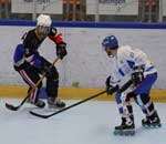 Championnat du monde de roller hockey 2008 : quarts de finale