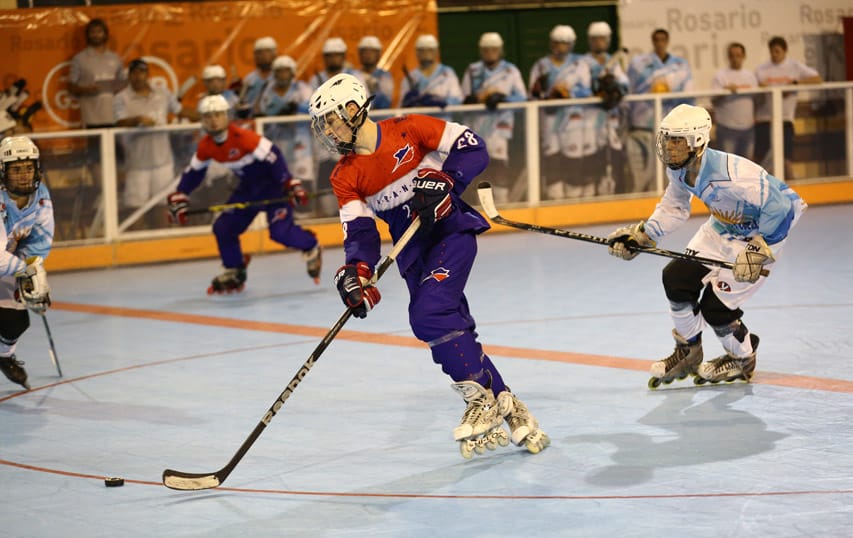 Championnat du monde de roller hockey 2015 Championnat du monde de roller hockey 2015