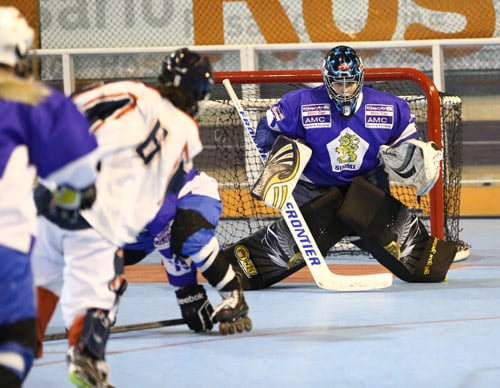 Championnat du monde de roller hockey 2015 Championnat du monde de roller hockey 2015