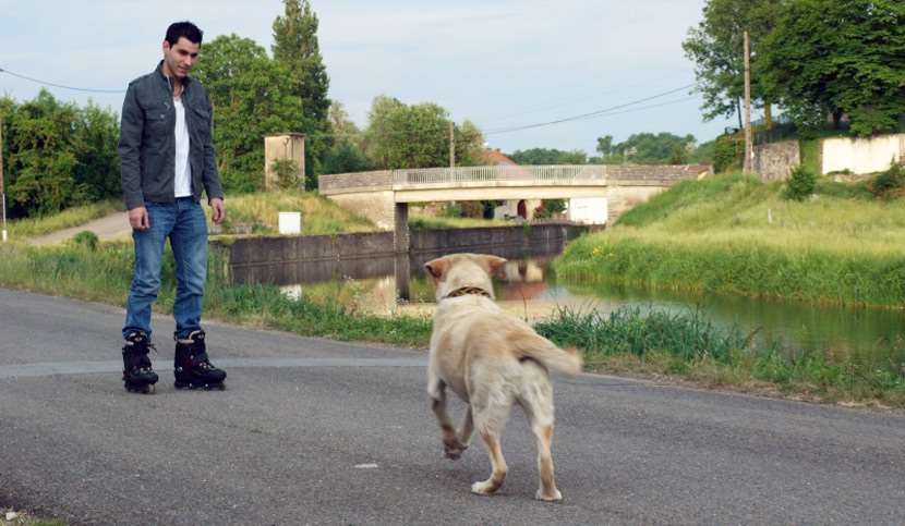 Rencontre avec un chien errant