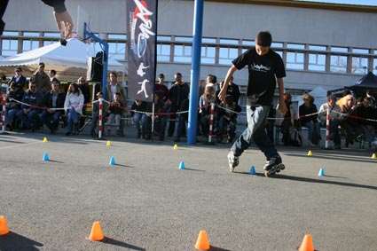 Slalom freestyle