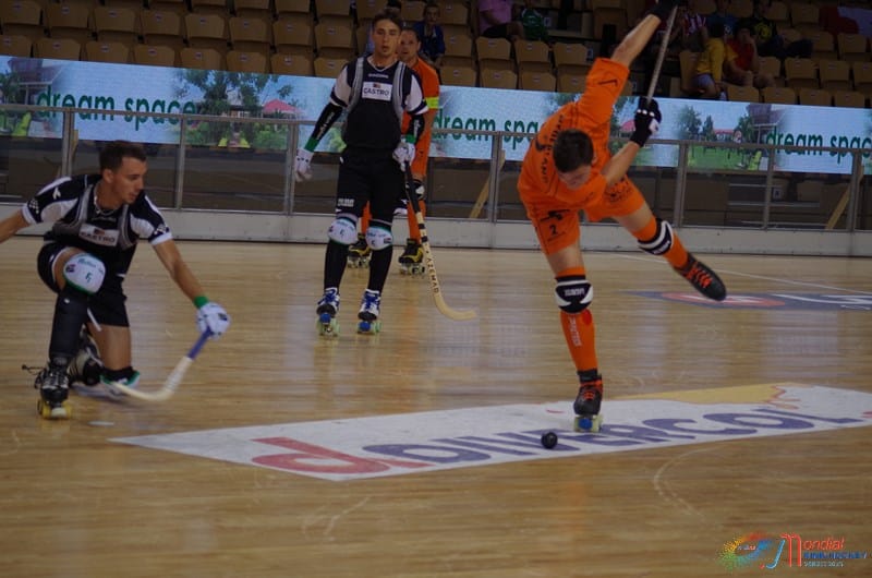 Championnat du monde de rink hockey 2015