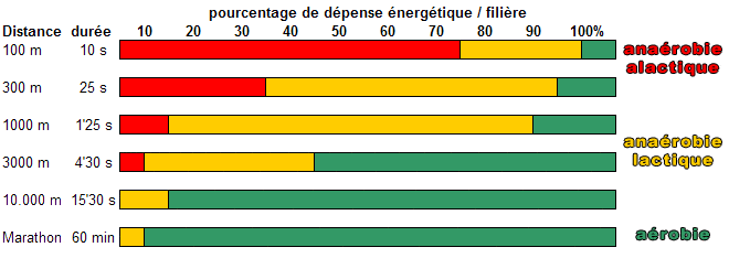 Pourcentage de dépense énergétique par filière