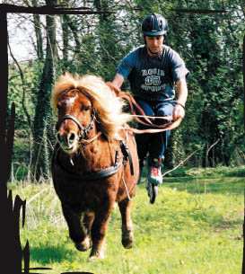 Dates de formation Roller Joering 2007