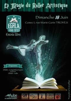 Gala 2017 de patinage artistique à Troyes (10)