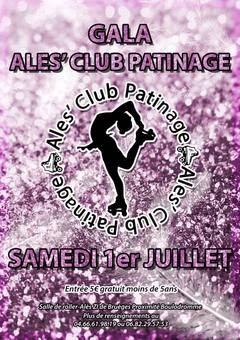 Gala 2017 du Ales Patinage Club (30)