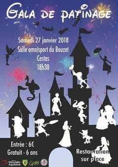 Gala de patinage artistique 2018 du SAGC (33)