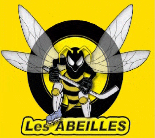 Bases hockey par les Abeilles