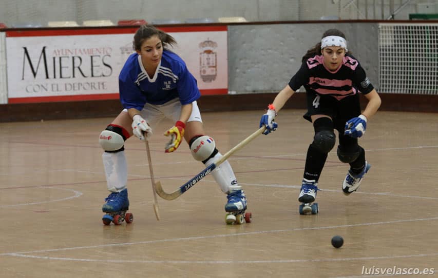 Equipe Ile de France de rink hockey 2015
