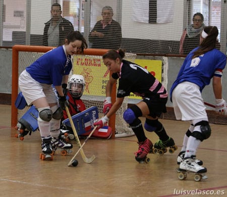 Equipe Ile de France de rink hockey 2015