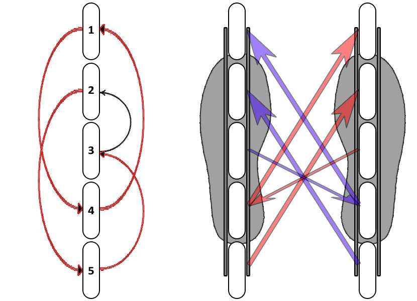 Repérage et rotation des roues de roller - RS3C