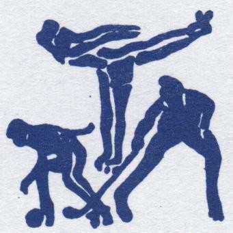 Une délégation égyptienne nombreuse pour le mondial roller course 2013