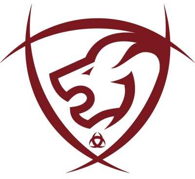 logo lions bordeaux roller hockey