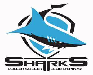 Epinay cherche gardien roller-soccer (91)