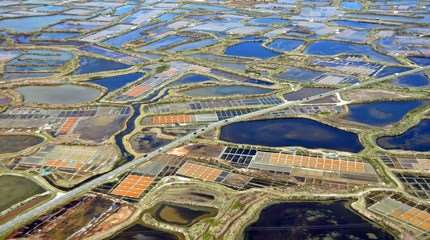 marais salants guerande small