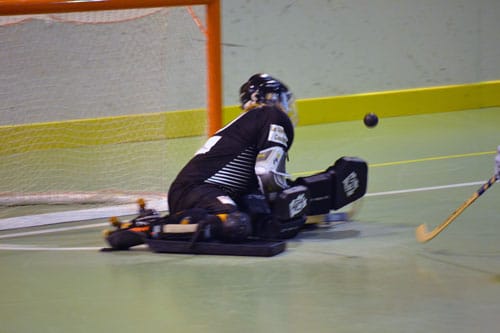 Coupe d'Europe de rink hockey : Noisy Calenberg