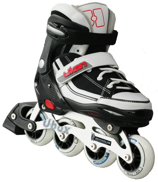 Michelin Adjustable Pro 2009 (fr)