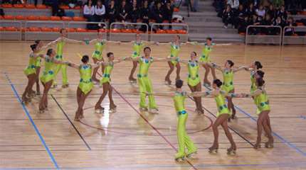 nantes synchro team vice champion france 2010 grande precision small