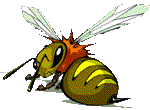 Newbee
