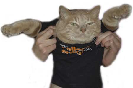 ReL : le webmaster… à poil !