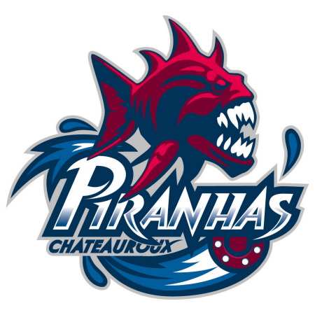 N2 : Châteauroux 6 – 4 Pessac