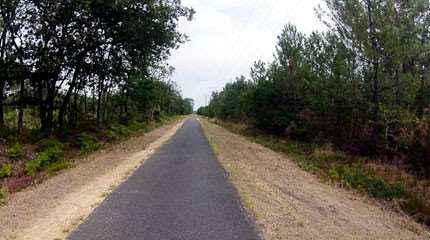 La piste cyclable d’Arès à Lacanau (33)